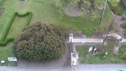 Veselíčko - zahrada u zámku