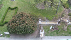 Veselíčko - zahrada u zámku