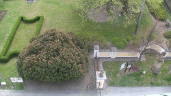 Veselíčko - zahrada u zámku