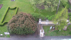 Veselíčko - zahrada u zámku