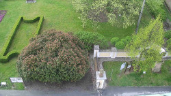 Veselíčko - zahrada u zámku