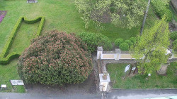 Veselíčko - zahrada u zámku