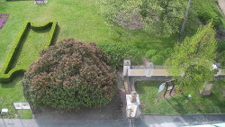 Veselíčko - zahrada u zámku