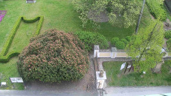 Veselíčko - zahrada u zámku