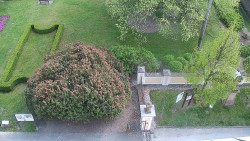 Veselíčko - zahrada u zámku