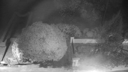 Veselíčko - zahrada u zámku