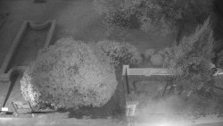 Veselíčko - zahrada u zámku