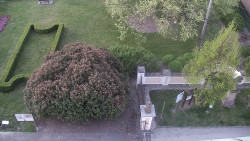 Veselíčko - zahrada u zámku