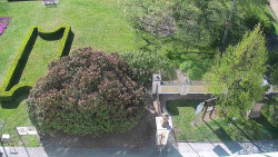 Veselíčko - zahrada u zámku