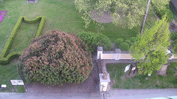 Veselíčko - zahrada u zámku