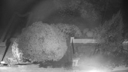 Veselíčko - zahrada u zámku