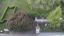 Veselíčko - zahrada u zámku