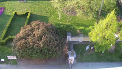 Veselíčko - zahrada u zámku