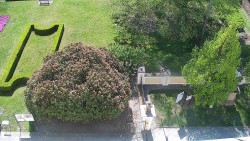 Veselíčko - zahrada u zámku