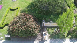 Veselíčko - zahrada u zámku