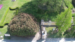 Veselíčko - zahrada u zámku