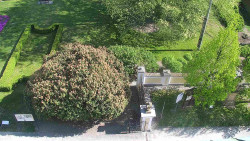 Veselíčko - zahrada u zámku