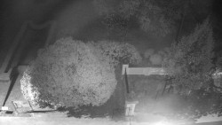 Veselíčko - zahrada u zámku