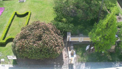 Veselíčko - zahrada u zámku