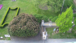 Veselíčko - zahrada u zámku