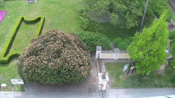 Veselíčko - zahrada u zámku