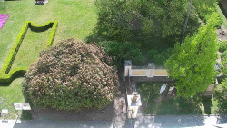 Veselíčko - zahrada u zámku