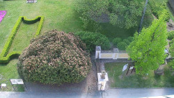 Veselíčko - zahrada u zámku