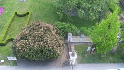 Veselíčko - zahrada u zámku