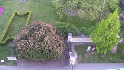 Veselíčko - zahrada u zámku