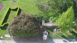 Veselíčko - zahrada u zámku