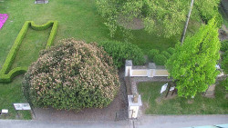 Veselíčko - zahrada u zámku