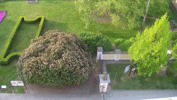 Veselíčko - zahrada u zámku