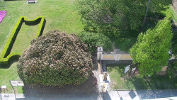 Veselíčko - zahrada u zámku