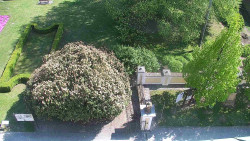 Veselíčko - zahrada u zámku