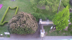 Veselíčko - zahrada u zámku