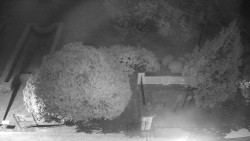 Veselíčko - zahrada u zámku