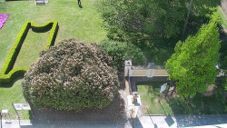 Veselíčko - zahrada u zámku