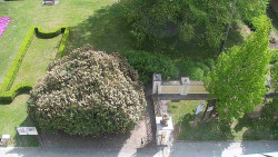 Veselíčko - zahrada u zámku