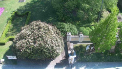 Veselíčko - zahrada u zámku