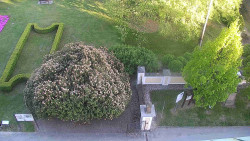 Veselíčko - zahrada u zámku