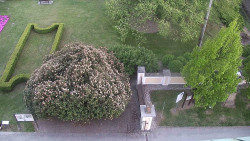 Veselíčko - zahrada u zámku