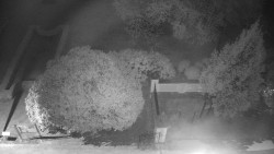 Veselíčko - zahrada u zámku