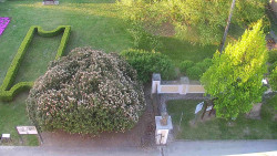 Veselíčko - zahrada u zámku