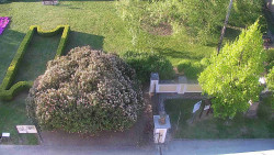 Veselíčko - zahrada u zámku