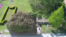 Veselíčko - zahrada u zámku