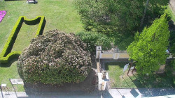 Veselíčko - zahrada u zámku