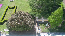 Veselíčko - zahrada u zámku