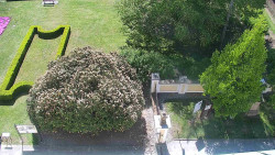 Veselíčko - zahrada u zámku