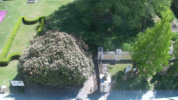 Veselíčko - zahrada u zámku