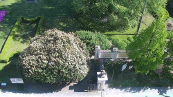 Veselíčko - zahrada u zámku